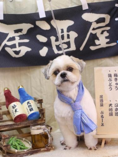 20240621ララくん